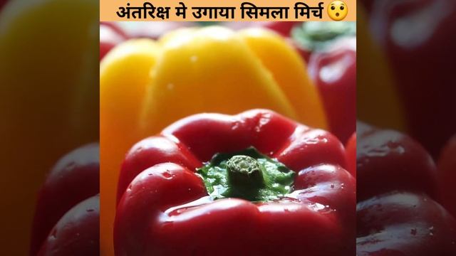 NASA🔥 ने उगा दी अंतरिक्ष मे शिमला मिर्च 😯 | #shorts | #backtobasics By #k2_sir