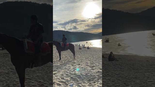 Horse riding on seaside #shorts смотреть онлайн