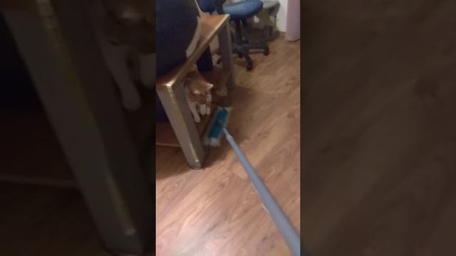 Швабра атакует! смотреть онлайн