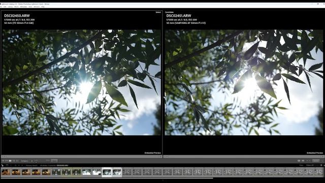 Samyang 50mm F1.4 II Vs Sony 50mm F1 4 GM