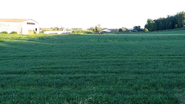 МТЗ 82 на опрыскивании полей смотреть онлайн