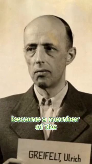 The Early Years of Ulrich Greifield #militaryhistory #wwiihistory #warhero #warhistory смотреть онлайн