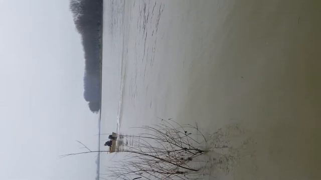 motor de barca mercury 5 cp смотреть онлайн