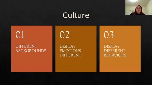 Ted Talk: Cultural Misunderstandings In Communication