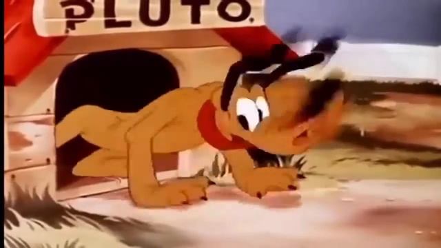 ᴴᴰ Pluto Cartoons Collection 2016   Kids Cartoons With Cute Pluto Dog And Friends! BEST COLLECTION