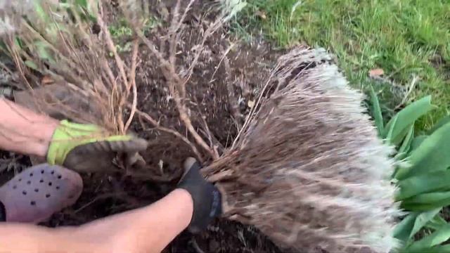 Геометрические Гуманоиды