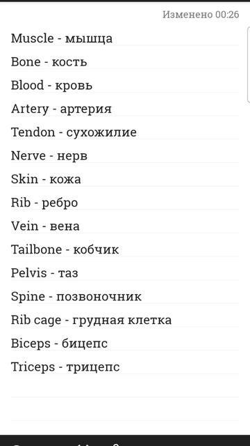 Части тела на английском/Body parts #английский #english смотреть онлайн