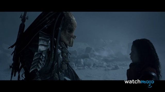 Predator Origins