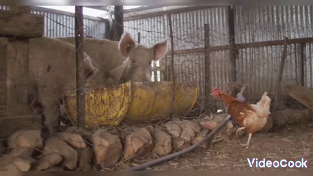 Моя планета земля ПРЕКРАСНА смотреть онлайн