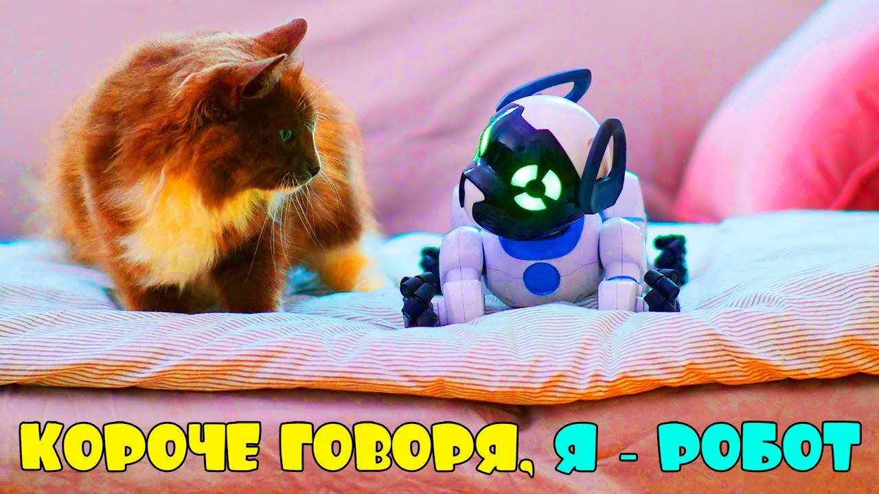 Жизнь глазами собаки-робота: я — робопёс! смотреть онлайн