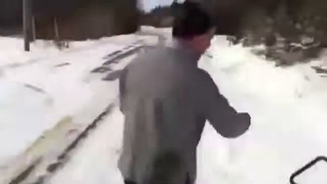 Прикольные собаки смешные Собачки тоже любят шутить Смотри прикол! смотреть онлайн