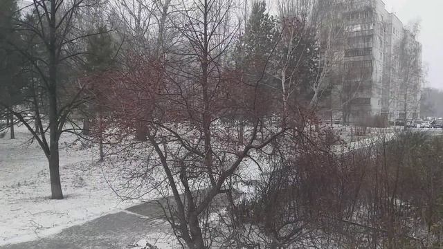 Russia Siberia Novosibirsk Akademgorodok 31 outubro 2021 primeiro dia com neve смотреть онлайн