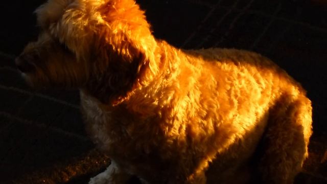 aurinkokello 해시계 солнечные часы धूपघड़ी смотреть онлайн