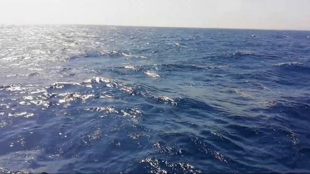 Sataya Resort 5* Marsa Alam  10/2021