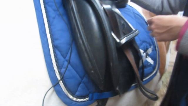 How To Use The POLAR EQUINE ELECTRODE BASE With The Polar M400