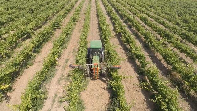 John Deere 5500N / Terral Trimmer / Vineyard / Drone Gopro Karma смотреть онлайн
