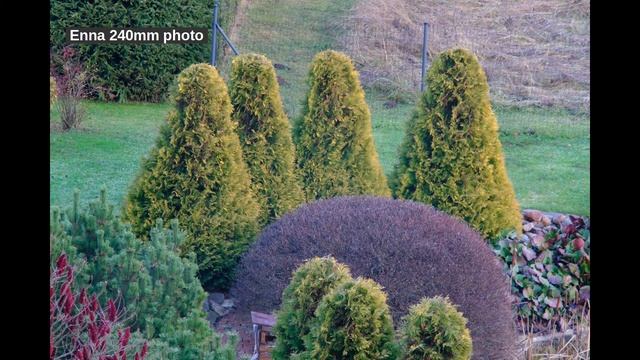 Enna München Tele-Ennalyt 240mm F4.5 M42 (Revue): a piece of fun from 1950’s смотреть онлайн