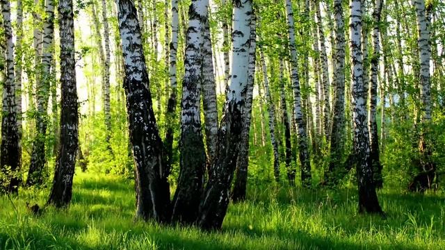 Обланин Изи О Глава 41. Если б не было тебя смотреть онлайн