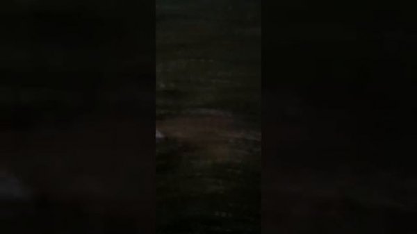 Часах показывают 12 часов ночи