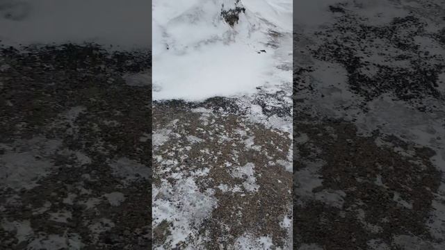 Космос ждёт папу )