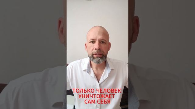 Все ЖИВОЕ на ПЛАНЕТЕ -это ТЫ! ТЫ ЕСТЬ ЛЮБОВЬ! Остановить разрушения, спасти ПРИРОДУ и ЧЕЛОВЕКА! смотреть онлайн