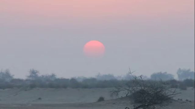 Desert Breeze смотреть онлайн