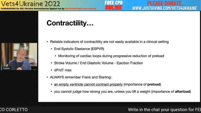 Federico Corletto - Anaesthesia and Analgesia - Vets4Ukraine2022 Free Webinar смотреть онлайн