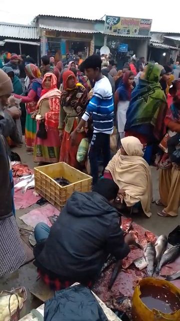 Fish Market || देसी मछली मार्केट
