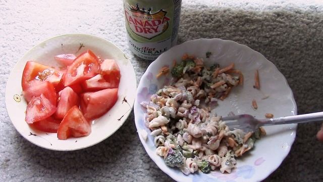 ASMR (No Whisper) - Broccoli Pasta Salad, Tomato, and Diet Ginger Ale (Requests) смотреть онлайн