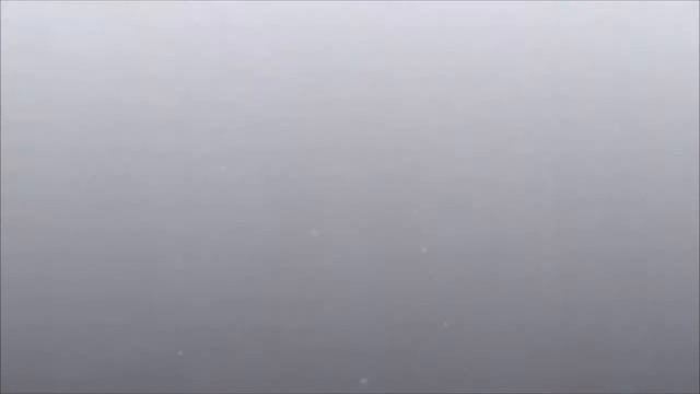 Cutie Loot Montage Tribute - Vent's Extended Version