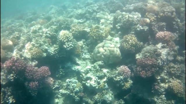 Radisson Individuals Marina Port Ghalib