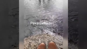 Фильм «Пробуждение»
