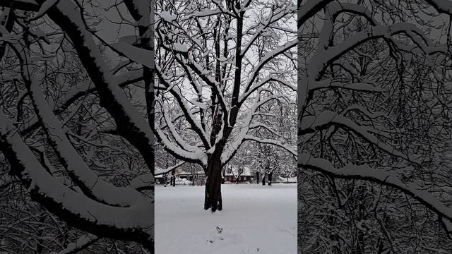 Декабрьское..❄️..новолуние.. смотреть онлайн