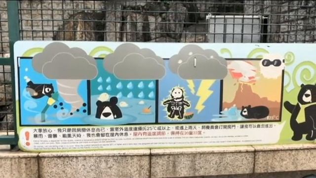 Cable Car Postcard Reading Challenge! смотреть онлайн