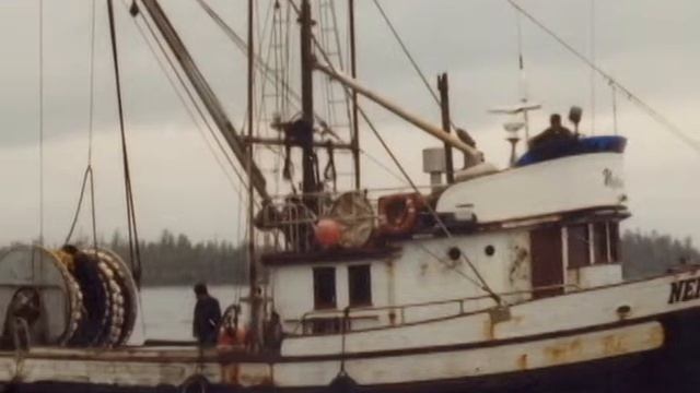 QCI THE NEPTUNE 11 смотреть онлайн