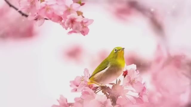 Дуа Утро защитить вас вес день أذكار الصباح утренний азкар каждое утро. смотреть онлайн
