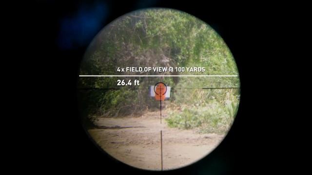 Top 5 LPVOs Under $400 - 1-6X24 & 1-4x24 Scopes смотреть онлайн