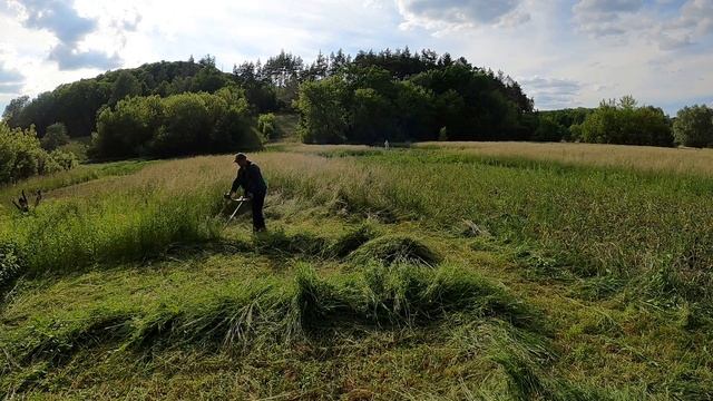 Косимо траву бензотримером FORESTA. На чому зекономили.We mow the grass with FORESTA benzotrimer. смотреть онлайн