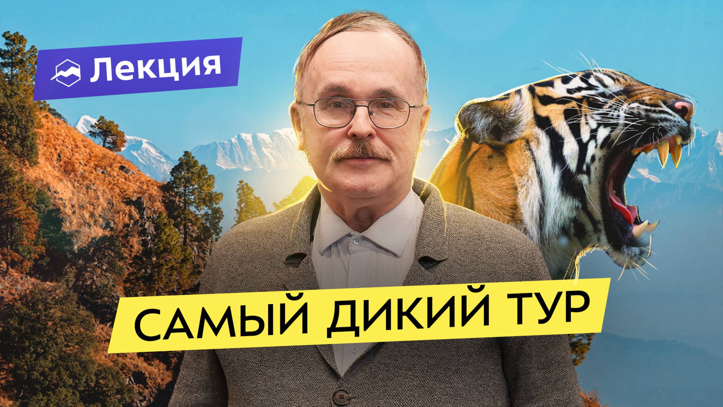 Джунгли Индии: как вместо трущоб увидеть тигра, слонов и обезьян? смотреть онлайн