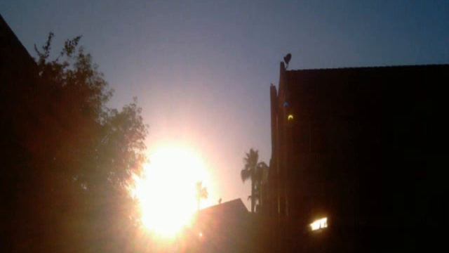 Celestial Body  During The 2012 Solar Eclipse ( Crescent Shape )