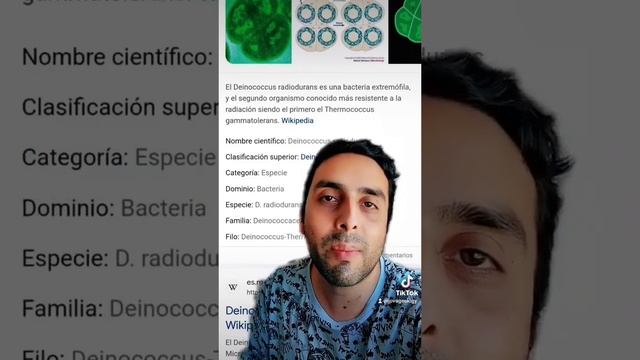 Investigación científica sobre vida en Marte, el planeta rojo #ciencia #marte #planetarojo #geologi смотреть онлайн