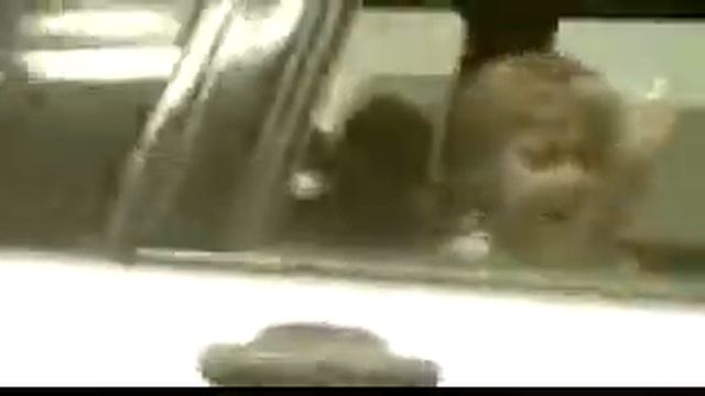 Дети видят, дети повторяют смотреть онлайн