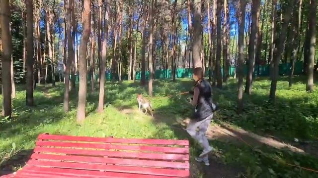 6 июня. поиск ребенка смотреть онлайн