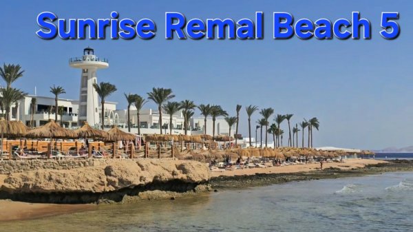 Sunrise Remal Beach 5* Новый отель в Шарм- Эль -Шейхе #шармельшейх