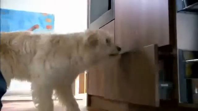 Blum ServoDrive смотреть онлайн