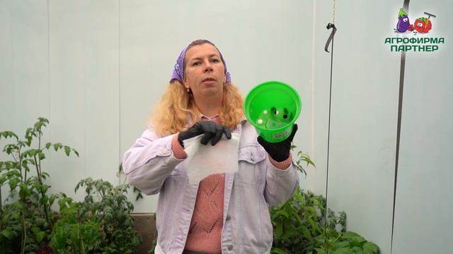 ВОЗВРАТНЫЕ ЗАМОРОЗКИ! ЧТО ДЕЛАТЬ С РАССАДОЙ? смотреть онлайн