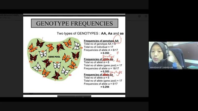 POPULATION GENETIC PART 1 : Gene pool, Allele frequency, genotype frequency and phenotype frequency смотреть онлайн