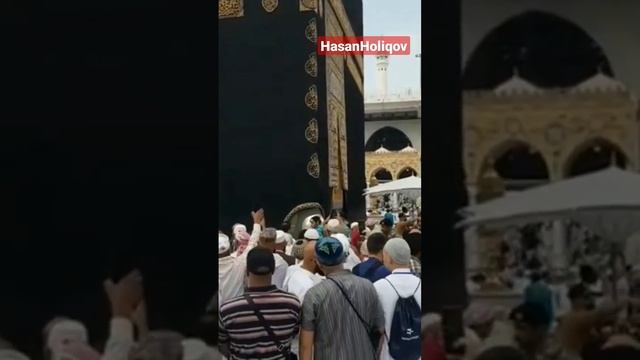 КРАСИВЫЙ АЗАН В МЕККЕ #азан #мекке #мусульмане #shorts смотреть онлайн