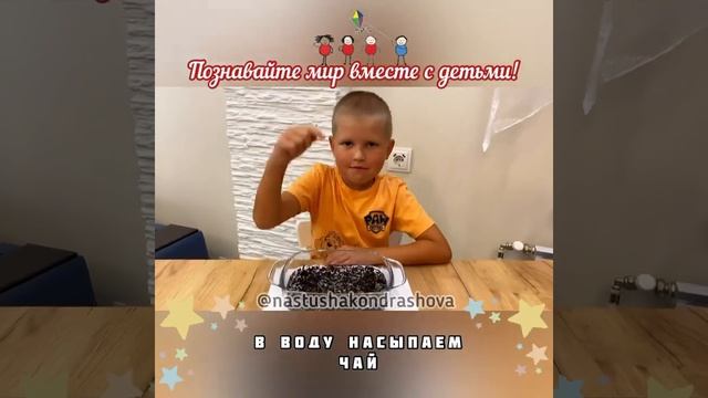 Детские эксперименты / Опыты для детей в домашних условиях / Пугливые чаинки смотреть онлайн