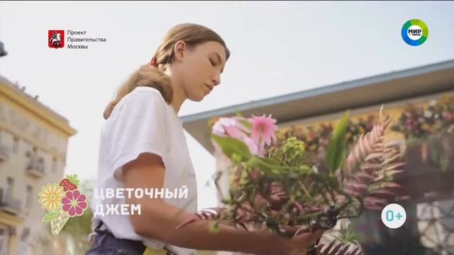 Анонсы и реклама (Мир Premium HD, 18.08.2019) смотреть онлайн